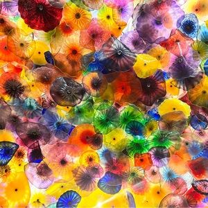 Meet your Posher, Sherry